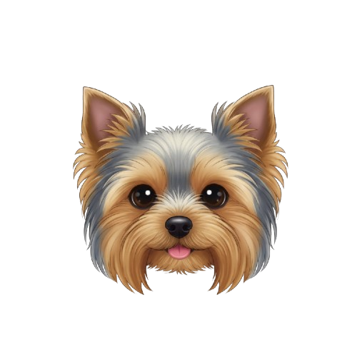 宝塚市の不動産・売買・仲介・買取・賃貸の事なら★メグライフ(株)